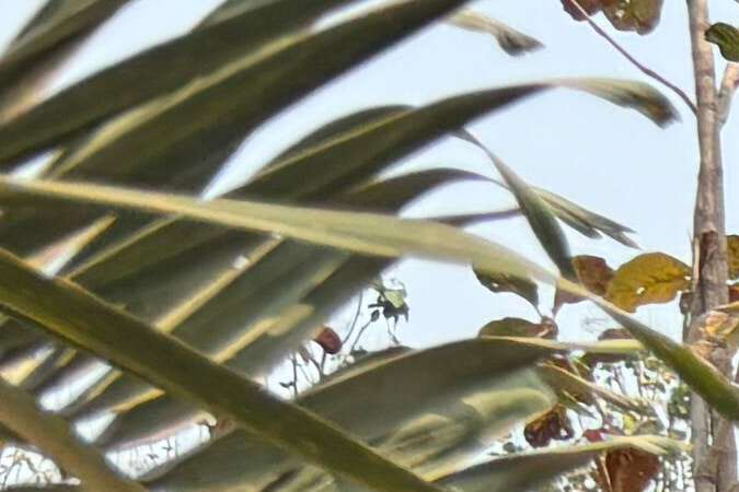 Potente terremoto en Myanmar y Tailandia deja destrozos y muertos.