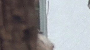 Potente terremoto en Myanmar y Tailandia deja destrozos y muertos.