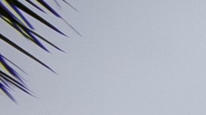 Administración del Seguro Social