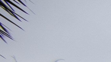 Administración del Seguro Social