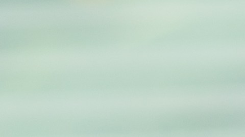 Adultos en EE. UU. desconocen vínculo entre el VPH y el cáncer encuesta