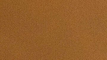 Megan Mantia, left, and her boyfriend Thomas, only first game given, return to Mantia's fire-damaged home after the Eaton Fire swept through the area, Wednesday, Jan. 8, 2025, in Altadena, Calif. (AP Photo/Ethan Swope)