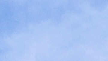 Los tres pasajeros del avión sobrevivieron al accidente, fueron rescatados con éxito y trasladados a un hospital local.