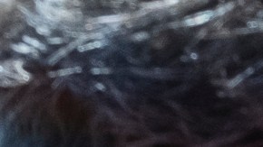 Tracey y Castelar escuchan una oración de la organización Samaritan’s Purse en Altadena.