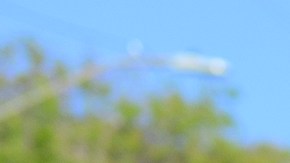 Anavela Vega, Dave Stone y el muñeco de Fernando Valenzuela.