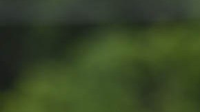 Andrew Graham Beshear, gobernador de Kentucky