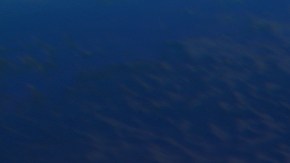 La NASA está buscando soluciones para el problema de la acumulación de basura en el espacio