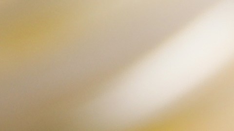 Beneficios de reemplazar la mantequilla por aceites vegetales