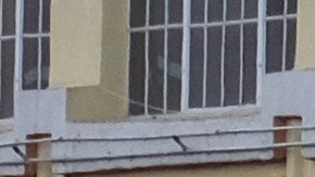 Los Angeles Fire Department firefighters respond to a structure fire that injured multiple firefighters, according to a fire department spokesman, Saturday, May 16, 2020, in Los Angeles. (AP Photo/Ringo H.W. Chiu)