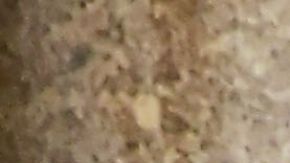 Chiquis Rivera Nueva York