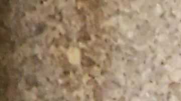 Chiquis Rivera Nueva York