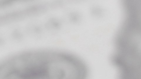 Cómo distribuir el salario