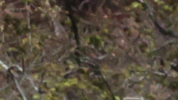 La alcaldesa Karen Bass habla con un trabajador en la zona de la tragedia que inició el 7 de enero.