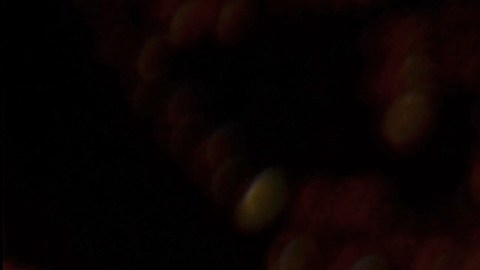 Criptomonedas reserva estratégica de Trump