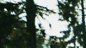 Si te gustan las aventuras en la naturaleza, ahora puedes unirte a versión beta de Starlink para envíar mensajes de texto vía satélite en zonas donde no hay señal.