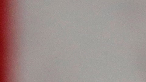 Hasta el momento se desconoce la razón por la que Trump retomó la migración en Europa.