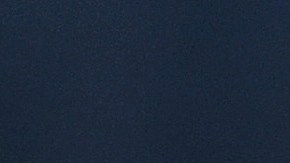 A modo de advertencia, dijo: “Los que no fabriquen productos en EE.UU., pagarán un arancel, y en algunos casos, uno bastante alto”.