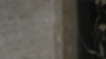 Donald Trump, presidente estadounidense