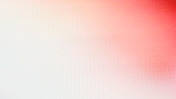 La organización fue dada por desmantelada en septiembre de 2023 por la Administración Maduro.