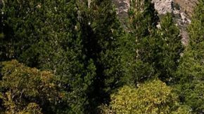 El Hyundai Santa Fe 2025