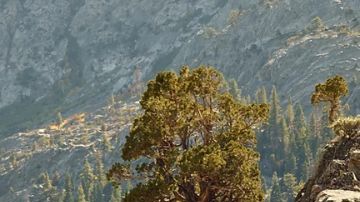 El poderoso Hyundai Santa Fe 2025