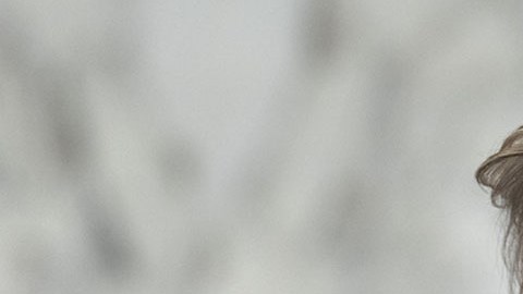 Elizabeth Warren, senadora por Massachusetts