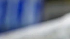 Publicación: Feb. 27 2025 Fotógrafo: Tomada de X Lugar: N/D Formato: 1260 x 740 JPG Documento: 114.0 KB Folio: 2513952