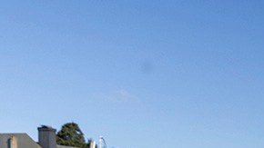 Escuadrón de policía