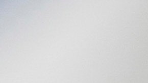 Adriano Espaillat es el presidente del Caucus Hispano del Congreso.