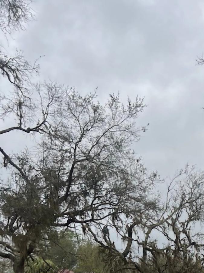 Equipos de rescate trabajaban en la evaluación de daños y en la restauración de los servicios básicos.