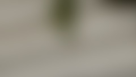 Uno de los niños murió tratando de proteger a sus hermanos más pequeños.