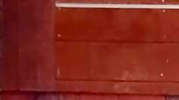 Francisco Quintanilla