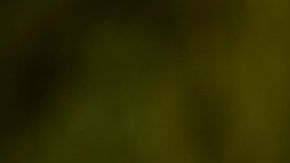 Gal Gadot arrives at the premiere of "Snow White" on Saturday, March 15, 2025, in Los Angeles. (Photo by Richard Shotwell/Invision/AP)