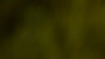 Gal Gadot arrives at the premiere of "Snow White" on Saturday, March 15, 2025, in Los Angeles. (Photo by Richard Shotwell/Invision/AP)