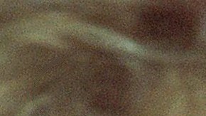 Se conocen las causas de la extraña muerte de Gene Hackman y su esposa