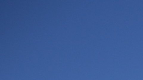 Voces señalan que los trabajadores latinos son una parte “esencial” de la economía del país.