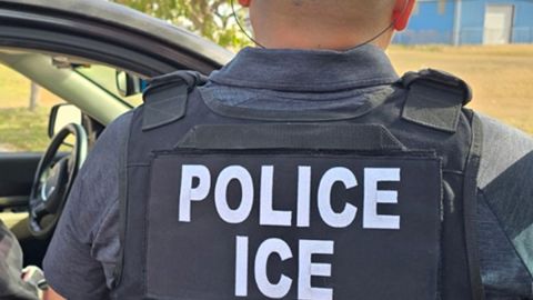 ICE mantiene operativos en varios estados.
