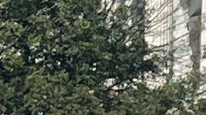 La representante María Elvira Salazar es autora del proyecto de Ley Dignidad.