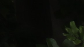 Los incidentes ocurrieron en primaria Miramonte, en la ciudad de El Monte.