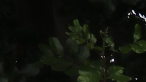 Los incidentes ocurrieron en primaria Miramonte, en la ciudad de El Monte.