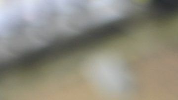 Guido Pizarro ganó 9 títulos con Tigres, incluyendo 4 de liga.