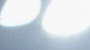 Veljko Paunovic durante su época como DT de Tigres en la Liga MX.