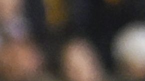 Veljko Paunovic posa durante un partido de Tigres.