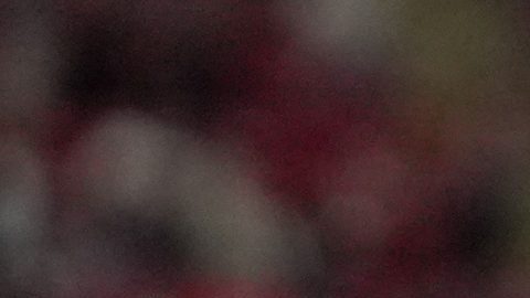 Alan Pulido, atacante de Chivas, exdelantero de Kansas City.