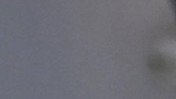 Gignac no es un jugador habitual en la plantilla de los Tigres.