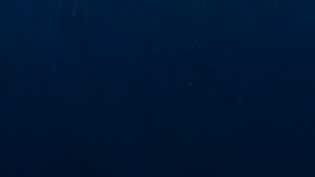 André Jardine ha sido el líder del tricampeonato del Club América.