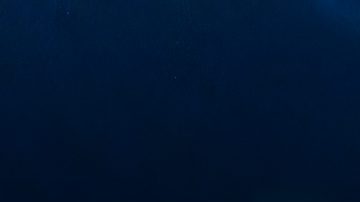 André Jardine ha sido el líder del tricampeonato del Club América.