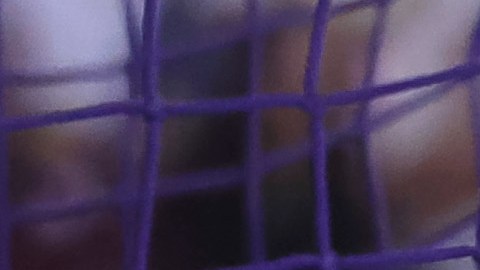 Ciudad de México, 1 de marzo de 2025. , durante el partido correspondiente a la jornada 10 del torneo Clausura 2025 de la Liga BBVA MX, entre las Águilas del América y los Diablos Rojos del Toluca, realizado en el estadio Ciudad de los Deportes. Foto: Imago7/