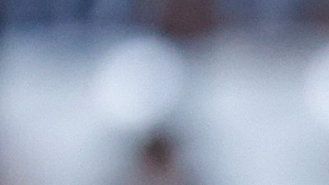 Demichelis tiene más de 30 partidos con Rayados de Monterrey.