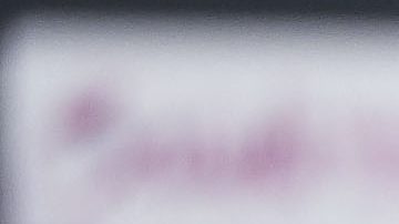 Juárez al mando de los Pumas de la UNAM.